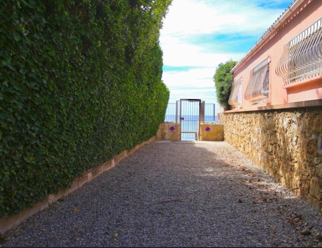 Appartement Pied Dans L'Eau La Seyne-sur-Mer Extérieur photo